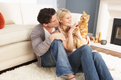 How Are Single Men That Own Cats Perceived?