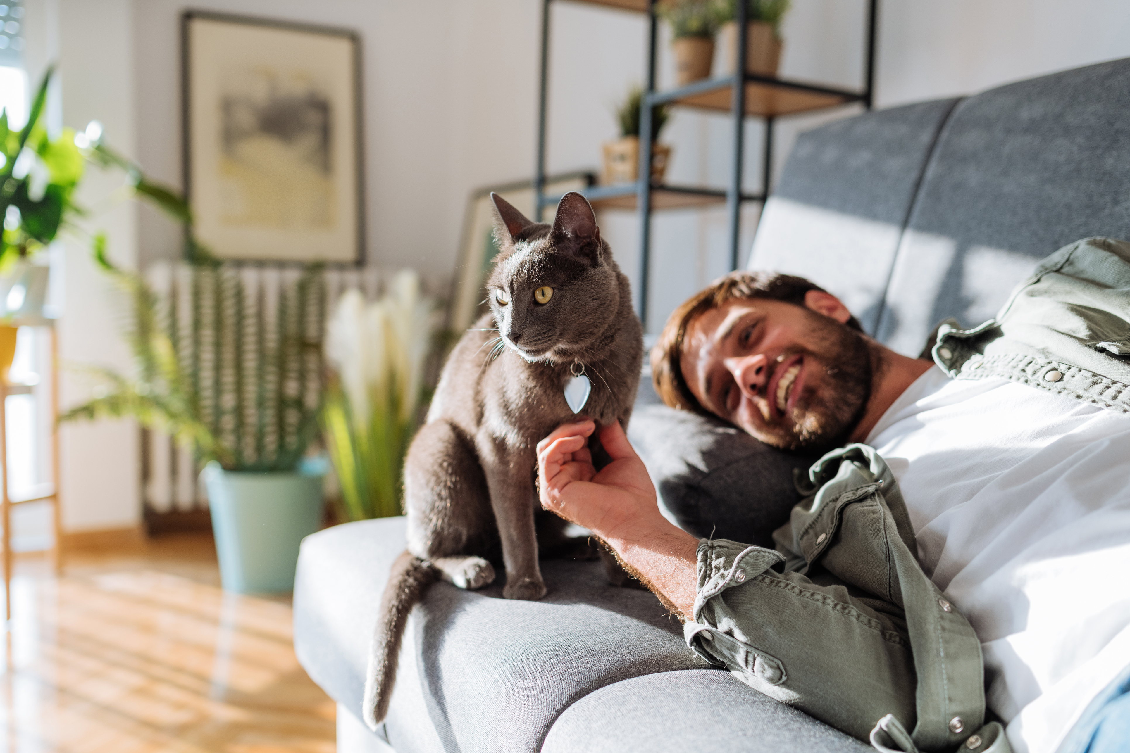 How Are Single Men That Own Cats Perceived By Women?
